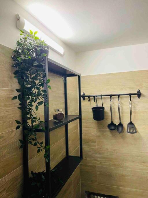 Bella Sicilia Apartman Palermo Kültér fotó