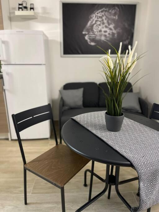 Bella Sicilia Apartman Palermo Kültér fotó